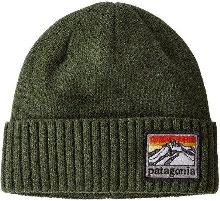 Patagonia store green beanie