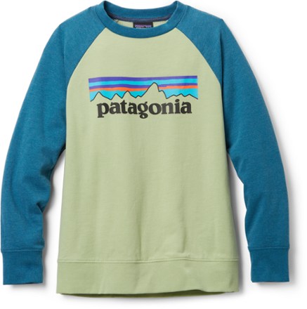 Patagonia men's line logo online ridge lightweight crew sweatshirt