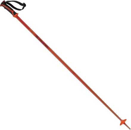 Salomon arctic hotsell ski pole