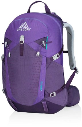 Gregory hotsell purple backpack