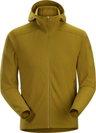 Arc'teryx Delta LT Fleece Hoodie - Men's | REI Co-op