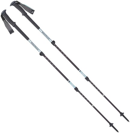 REI Flash Carbon Trekking Poles - Adventure Alan