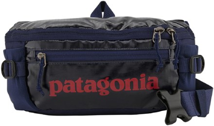 Patagonia fanny best sale pack rei