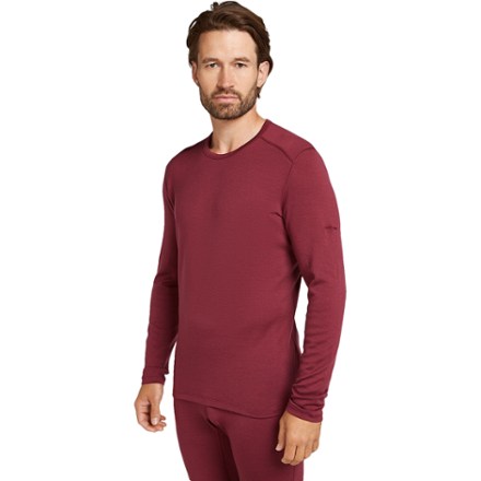 Icebreaker Men's Merino 260 Tech Long-Sleeve Crewe Thermal Top