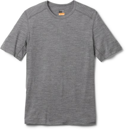 Icebreaker 200 Oasis Crewe Base Layer Top - Men's | REI Co-op