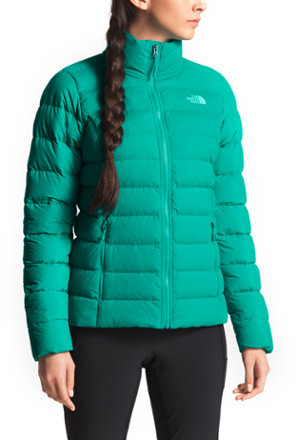 the north face down jacket with hood