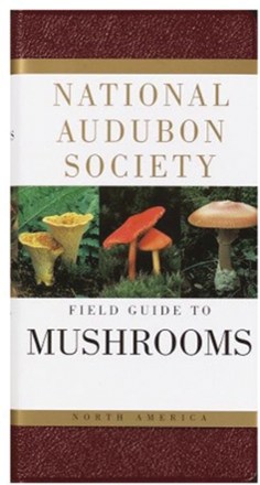 National Audubon Society Field Guide to Mushrooms: North America | REI ...