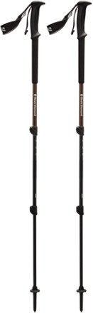 big 5 trekking pole