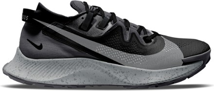 Nike Pegasus Trail 2 Gore-Tex