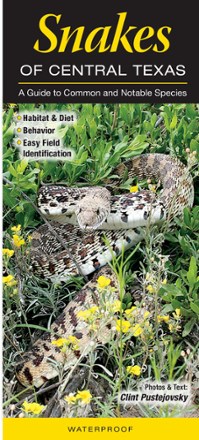 Quick Reference Publishing Snakes of Central Texas | REI Co-op