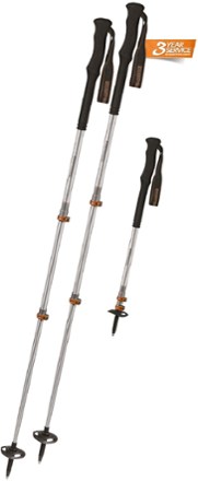 trekking pole sale