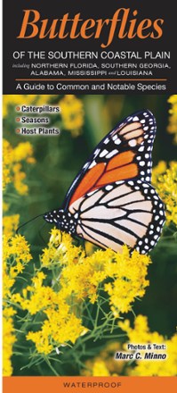 Butterflies of the Southern Coastal Plain