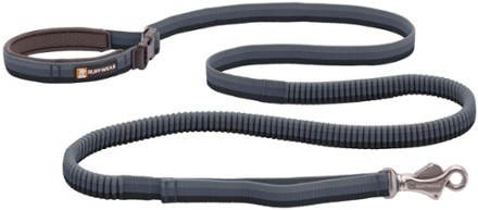 Rei best sale dog leash