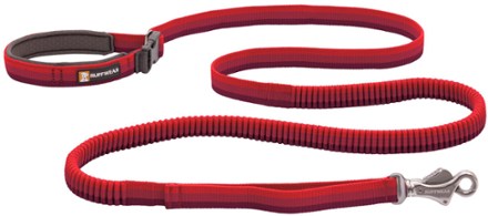 Rei dog hot sale leash