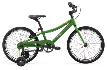 raleigh rowdy 20 green