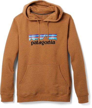 Patagonia best sale hoodie large