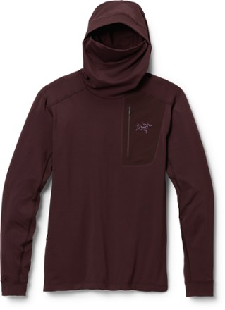 Arc teryx Men s RHO LT Polyester Hoodie