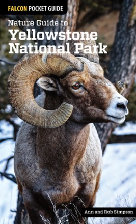 FalconGuides Nature Guide to Yellowstone National Park | REI Co-op