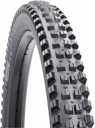 Teravail Warwick Light & Supple Tire - 29, REI Co-op