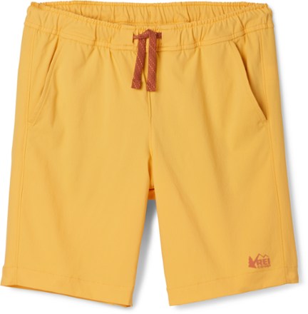 SunScout Hybrid Board Shorts - Kids'