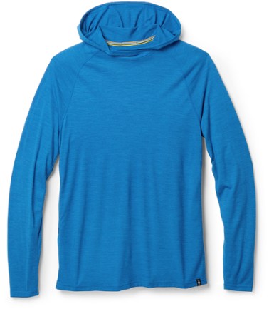 Smartwool merino hot sale 150 hoody