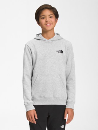 The north face hot sale hoodie junior