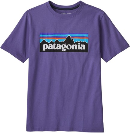 Patagonia Cotton P-6 Logo T-Shirt - Boys