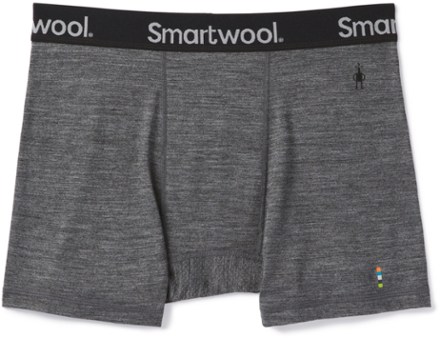 Smartwool Merino Sport 150 Boxer Purple