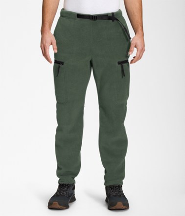 Alpine Polartec 200 Pants - Men's