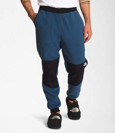 North face denali outlet fleece pant