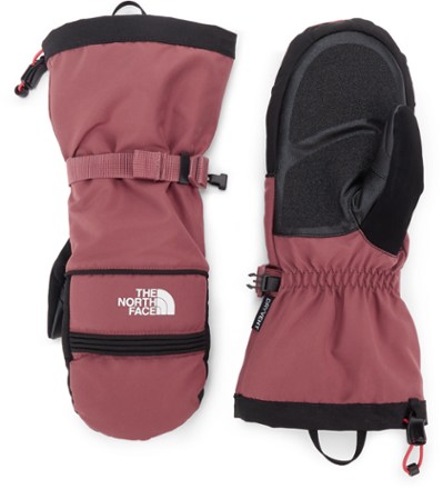 Dakine Sequoia Gore-Tex Glove Sci- / Snowboard Guanti Sparrow