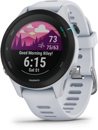 Shop Garmin Forerunner 55 GPS Running Watch