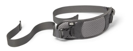 REI Co-op Packmod Hipbelt Pocket | REI Co-op