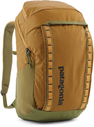 Rei cheap patagonia backpack