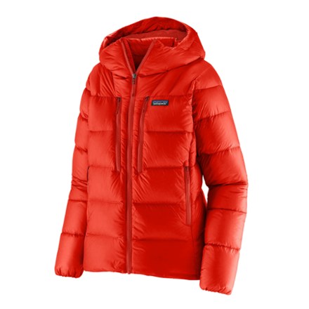 Patagonia Fitz Roy Down Parka - Men's | REI Co-op