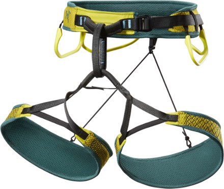 Arcteryx hot sale womens harness