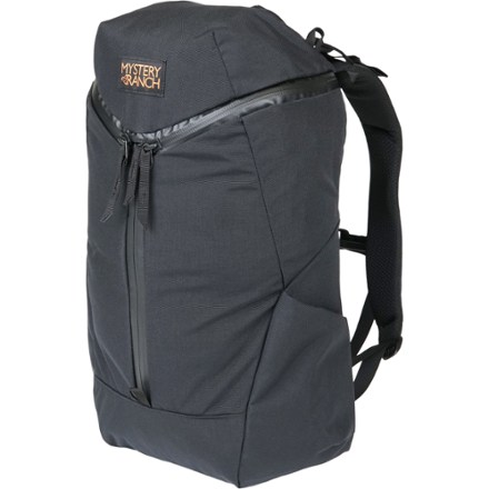 Pacsafe venturesafe 15l gii best sale