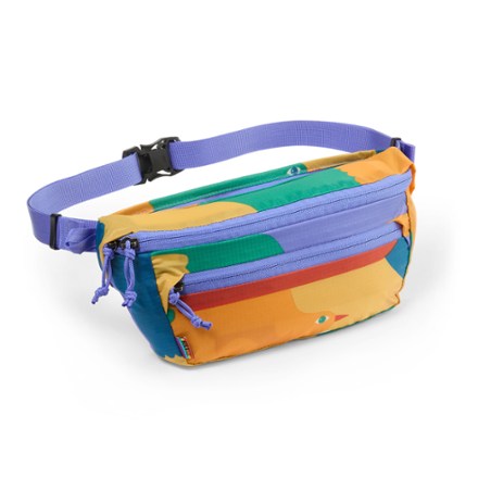 There's a newer version of REI Co-op Trail 2 Print Waist Pack