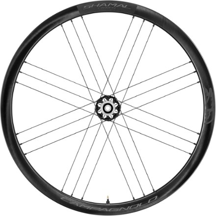 Campagnolo Bora WTO 45 Rear Wheel - Disc Brake | REI Co-op