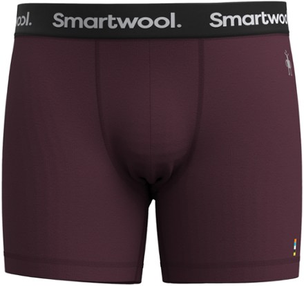 Smartwool Everyday Merino Boxer Briefs - Men's | REI Co-op