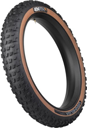 Teravail Warwick Light & Supple Tire - 29, REI Co-op