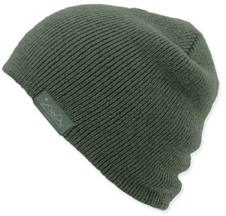 Pistil Men's Chico Beanie