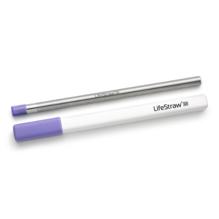 LifeStraw Sip Reusable Stainless-Steel Water Filter Straw