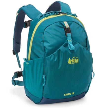 There's a newer version of REI Co-op Tarn 18 Pack - Kids'