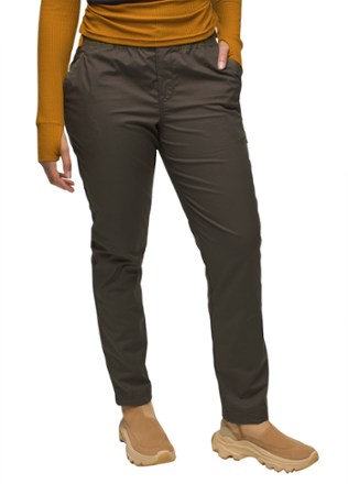 Patagonia Organic Cotton Roaming Cargo Pants - Women's