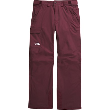 The North Face Men's Freedom Pants