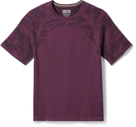 Smartwool Men's Intraknit Active T-Shirt