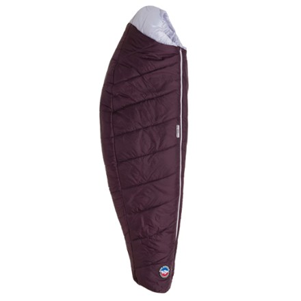 Big Agnes Encampment 15 Sleeping Bag Men s REI Co op