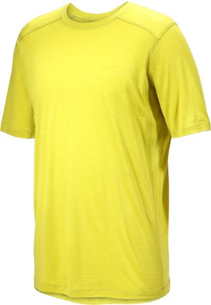 Arc'teryx Men's Ionia Merino Wool Arc'Word Shirt