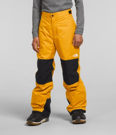 The North Face Freedom Insulated Snow Pants - Kids' 0